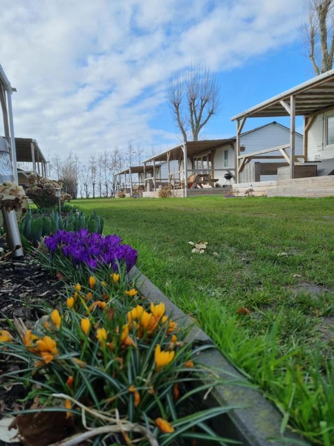 Chalet Tulpenweide - Recreatie Breezand المظهر الخارجي الصورة